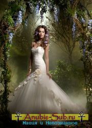 Фата невесты и цвет свадебного платья - свадебные приметы