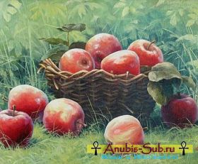 Заговоры на яблоки после Яблочного Спаса